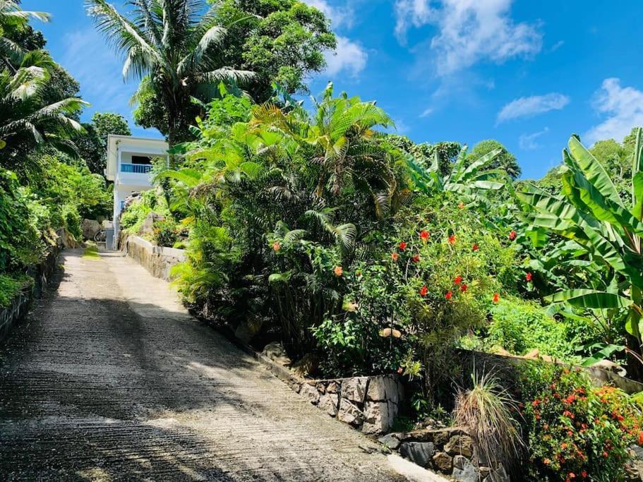 Crystal Apartments Seychelles Seaview Upper Floor Glacis (Mahe) Exterior foto